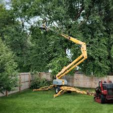 How Our Tree Care Process Works  in West Branch, MI